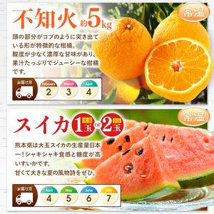 【2026年1月8日以降の発送予定】 ふるさと納税 【 定期便 8回 】 まるごと 堪能 ！ 人気 フルーツ （ いちご 白いちご みかん 不知火 スイカ メロン ぶどう シャインマスカット .. 熊本県玉名市 【TM1329193760】(46800円)