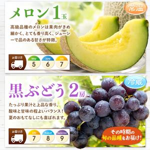 【2026年1月8日以降の発送予定】 ふるさと納税 【 定期便 8回 】 まるごと 堪能 ！ 人気 フルーツ （ いちご 白いちご みかん 不知火 スイカ メロン ぶどう シャインマスカット .. 熊本県玉名市 【TM1329193760】(46800円)