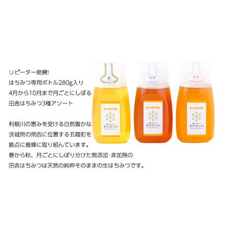 ふるさと納税 季節で移ろう 田舎 はちみつ ボトル 3種 セット [ピタッとボトルB3] 【茨城県共通返礼品／五霞町】 280g×3 ボトル [BS008sa] 茨城県桜川市の画像