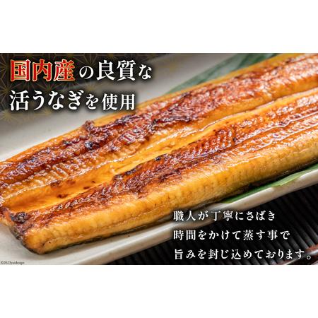 海外品 ふるさと納税 定期便 うなぎ 国産 蒲焼 90g×3串×6回 総計1.62kg タレ 山椒 付き【綱正】[フーズ・ユー 静岡県 吉田町 22424197] 鰻 ウ.. 静岡県吉田町 【S1607812309】(56610円)
