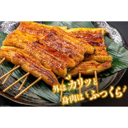 ふるさと納税 定期便 うなぎ 国産 蒲焼 90g×3串×6回 総計1.62kg タレ 山椒 付き【綱正】[フーズ・ユー 静岡県 吉田町 22424197] 静岡県吉田町_3