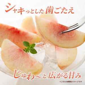 ふるさと納税 2026年発送 先行予約 「浅間水蜜桃プレミアム」 もも 川中島白桃 秀品 約2kg 5〜9玉 ふるさと納税 果物 フルーツ モモ 果肉 デザー.. 長野県小諸市の画像