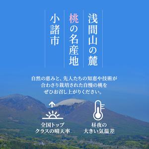 ふるさと納税 2026年発送 先行予約 「浅間水蜜桃プレミアム」 もも 川中島白桃 秀品 約2kg 5〜9玉 ふるさと納税 果物 フルーツ モモ 果肉 デザー.. 長野県小諸市の画像