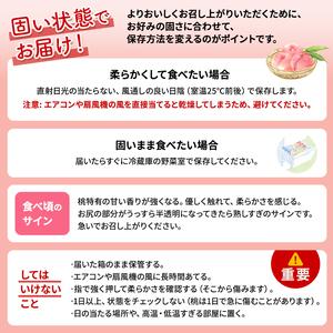 ふるさと納税 2026年発送 先行予約 「浅間水蜜桃プレミアム」 もも 川中島白桃 秀品 約2kg 5〜9玉 ふるさと納税 果物 フルーツ モモ 果肉 デザー.. 長野県小諸市の画像