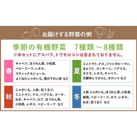 ふるさと納税 有機JAS認定 季節の野菜詰め合わせ 〜有機野菜セットC〜  北海道北広島市の画像
