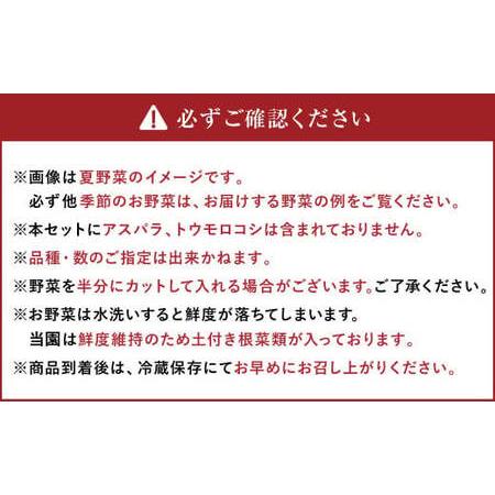 ふるさと納税 有機JAS認定 季節の野菜詰め合わせ 〜有機野菜セットC〜  北海道北広島市の画像