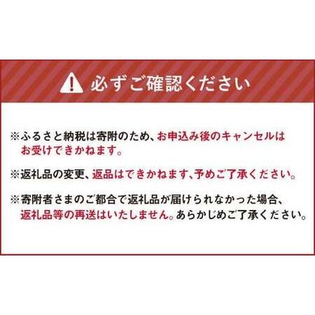 ふるさと納税 有機JAS認定 季節の野菜詰め合わせ 〜有機野菜セットC〜  北海道北広島市の画像