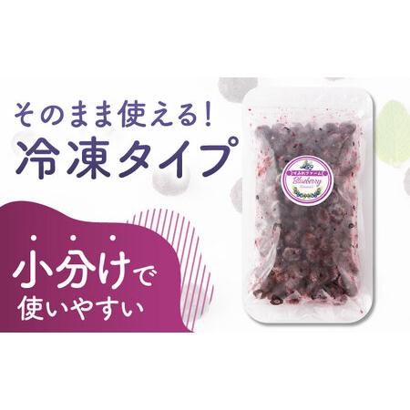 ふるさと納税 【6回定期便】大粒 冷凍ブルーベリー 2000g（500g×4pc） 【すみれファーム】果物 フルーツ くだもの ブルーベリー 冷凍 ブル.. 熊本県山鹿市｜furunavi｜03