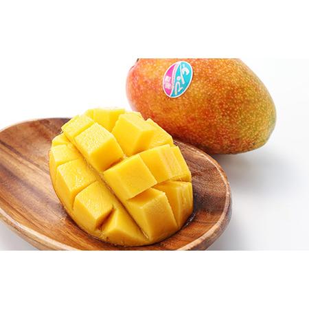 ふるさと納税 【先行予約!2026年7月より順次発送】 清水果樹園 自宅用 マンゴー 約2kg【配送不可地域：離島】【1469612】 鹿児島県伊仙町 |  | 02