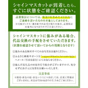 ふるさと納税 厳選！山梨県甲州市産 シャインマスカット 1kg以上 2〜3房【2024年発送】（THR）B-807【葡萄 ブドウ ぶどう 期間限定】 山梨県甲州市｜furunavi｜03