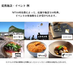 ふるさと納税 「燕三条NFT 匠の守護者 第二弾 黎明のスケルツォ」スターターキット（5キャラ＋キラカード1枚） 新潟県燕市の画像