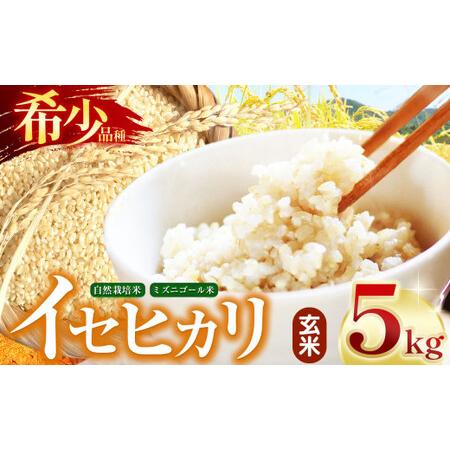 自然栽培【イセヒカリ】玄米10kg[5kg×2袋]新米 無農薬無肥料の自然栽培米 ふるさと納税 【令和7年産】自然栽培 自然栽培 イセヒカリ 5kg 玄米