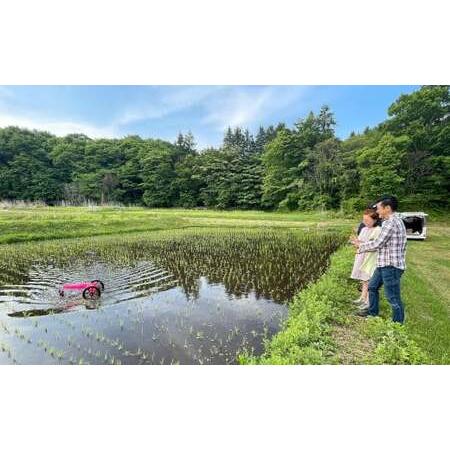 ふるさと納税 【令和7年産】自然栽培 自然栽培 イセヒカリ 5kg 玄米