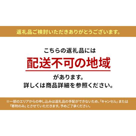 ふるさと納税 大型冷蔵庫 503L IRGN-50A-W ホワイト 大型 冷蔵庫 両開き 6ドア フレンチドア 2段冷凍室 171L 急速冷凍 自動製氷 大容量 アイリ.. 宮城県大河原町の画像