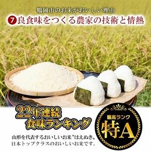 ふるさと納税 山形県 庄内産 乾式無洗米 はえぬき 5kg×2袋 計
