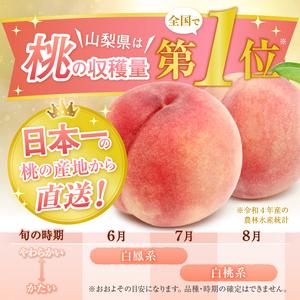 ふるさと納税 丹精込めて育てた甲州市の桃 約3kg（9〜12玉）【2026年発送】（HCF）B13-845 桃 フルーツ 山梨県甲州市の画像