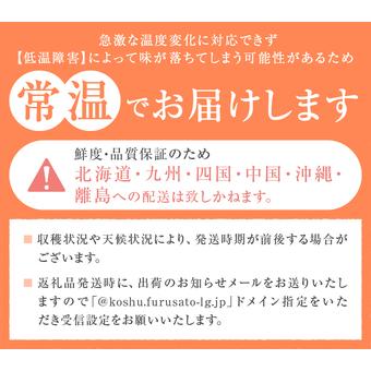 ふるさと納税 丹精込めて育てた甲州市の桃 約3kg（9〜12玉）【2026年発送】（HCF）B13-845 桃 フルーツ 山梨県甲州市の画像