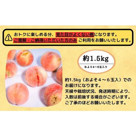 ふるさと納税 ◆2024年夏発送◆＜ 産直・訳あり桃・約1.5kg ＞ ※着日指定不可 ※北海道・沖縄・離島への配送不可 ※2024年7月中旬〜9月中旬頃に.. 福島県国見町｜furunavi｜03