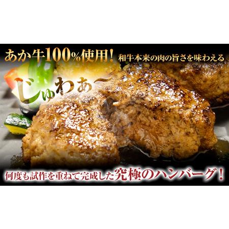 ふるさと納税 くまモン あか牛 ハンバーグ 120g×6個 あか牛のたれ付き 熊本県産 あか牛 あかうし 三協畜産 《30日以内に出荷予定(土日祝.. 熊本県津奈木町｜furunavi｜05