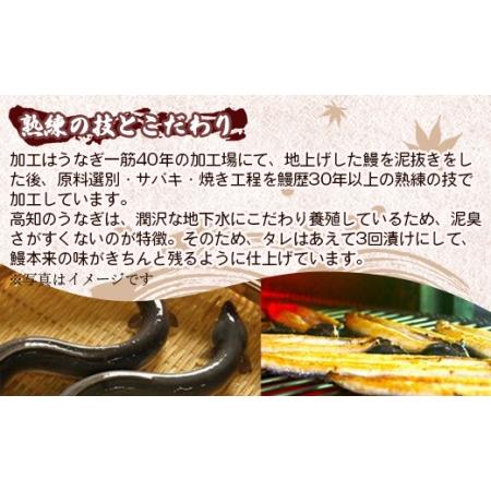 ふるさと納税 【うなぎ蒲焼き】高知県産養殖うなぎ蒲焼き 3尾(合計約660g) タレ付き 冷凍 真空パック 高知県 須崎市道の駅 ss-0035 高知県香南市_2