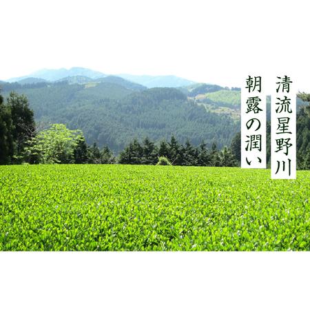 ふるさと納税 【全12回定期便】奥八女星野村 八女茶 伝統本玉露[50g]×2袋 [ABDF111]  福岡県築上町の画像