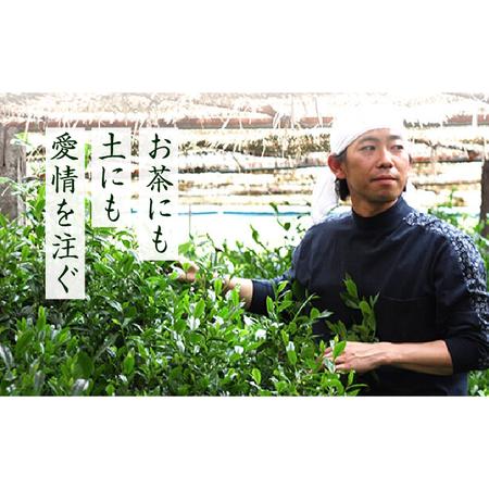ふるさと納税 【全12回定期便】奥八女星野村 八女茶 伝統本玉露[50g]×2袋 [ABDF111]  福岡県築上町の画像