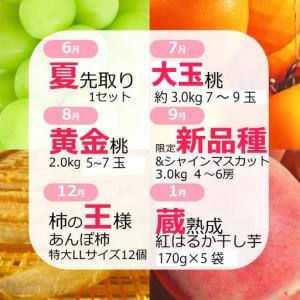 ふるさと納税 【定期便：全6回】極み四重奏 季節ごとの最高品を産地直送 088-017 山梨県笛吹市_1