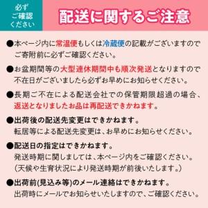 ふるさと納税 【定期便：全6回】極み四重奏 季節ごとの最高品を産地直送 088-017 山梨県笛吹市_2
