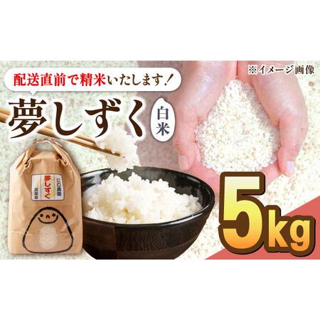 ふるさと納税 [最高ランク特A評価]令和5年産 夢しずく 白米 5kg 配送前精米/江口農園[UBF012] 夢しずく 白米 米 お米 精米 白米夢しずく 佐賀.. 佐賀県武雄市