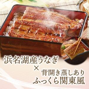 ふるさと納税 浜名湖産 うなぎ蒲焼 2尾入り【配送不可地域：離島】【1467316】 静岡県磐田市｜furunavi｜02