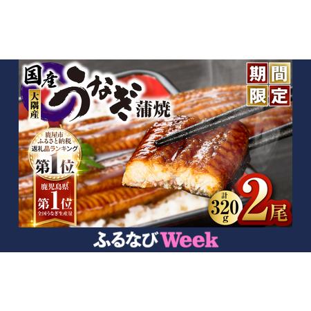ふるさと納税 1541-1 【数量限定】鹿児島県大隅産うなぎ蒲焼2尾（320g