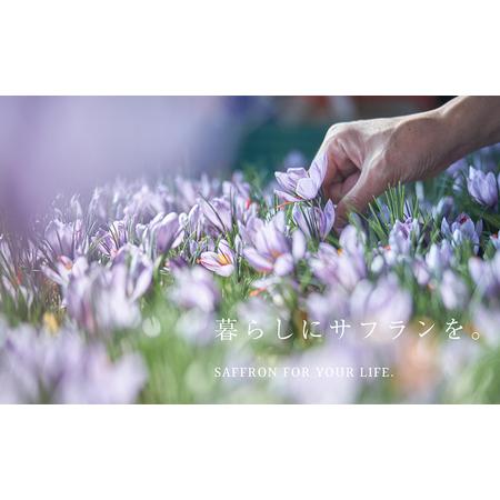 ふるさと納税 【Seto SAFFRON】SSエッセンス<美容液>（30ml） 美容グッズ スキンケア 香川県東かがわ市_1