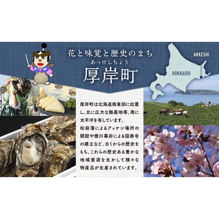 ふるさと納税 新鮮な海のミルク牡蠣を投入！ かきスープカレー 5個  北海道 牡蠣 カキ かき カレー スープ スープカレー  レトルトカレー レトル.. 北海道厚岸町｜furunavi｜03