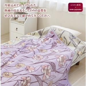 ふるさと納税 ディアジャパン アクリルニューマイヤー毛布(毛羽部分) グリーン|ブランケット 快眠 快適 熟睡 睡眠 洗える 洗濯可能 丸洗い可.. 大阪府泉大津市