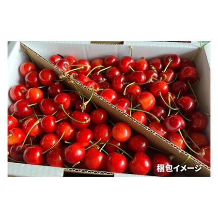 ふるさと納税 《2024年先行予約》 さくらんぼ「佐藤錦」秀品 L 1kg バラ