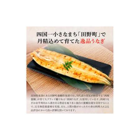 ふるさと納税 うなぎの白焼き(大) 3尾×6回 定期便 6ヶ月 定期コース タレ付き 山椒付き 高知県田野町_1