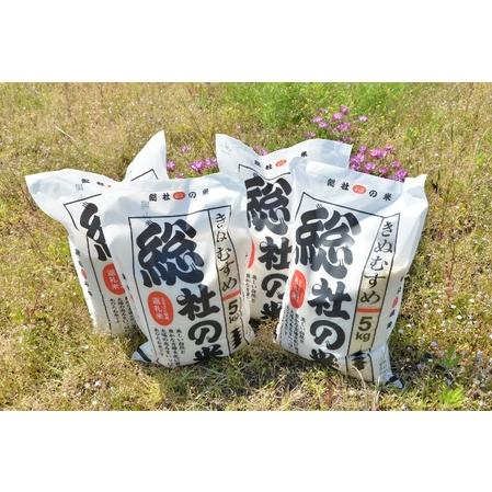 ふるさと納税 【令和6年産米】特Aきぬむすめ【精白米】30kg 定期便（15kg×2回）岡山県総社市産〔令和6年11月・令和7年1月配送〕24-030-002 岡山県総社市｜furunavi｜03