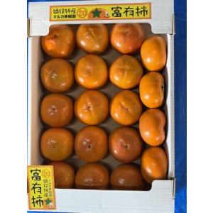 ふるさと納税 ＜先行受付＞富有柿　約4kg【2026年11月上旬以降順次発送】 愛知県豊田市_1