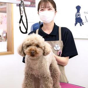 ふるさと納税 トリミング＆写真撮影利用補助券　4500円分【 犬 猫 ドッグ キャット ねこちゃん わんちゃん ワンちゃん ペットトリミング チケッ.. 埼玉県北本市｜furunavi｜03