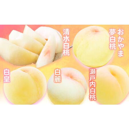 ふるさと納税 岡山のフルーツ 定期便6回コース 株式会社山博(中本青果)【配送不可地域あり】 岡山県浅口市_2