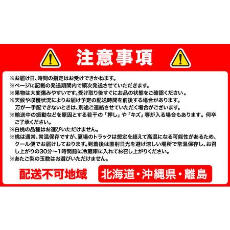 ふるさと納税 岡山のフルーツ 定期便6回コース 株式会社山博(中本青果)【配送不可地域あり】 岡山県浅口市_4