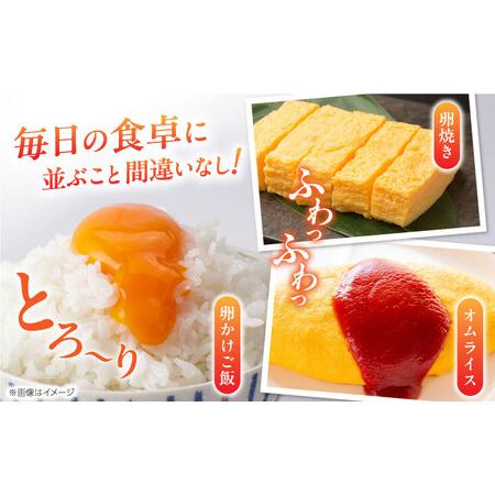 ふるさと納税 熊本そだち 60個入り ( 10個入り × 6パック ) 熊本県産
