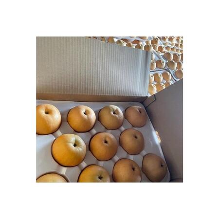 梨出品 ランキング1位獲得!!【 JA 北つくば 】 筑西ブランド 認証品 豊水 5kg