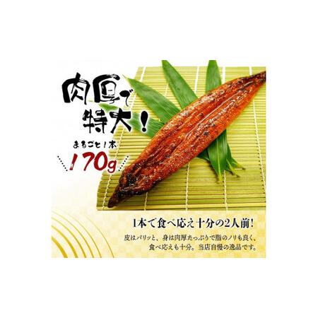 ふるさと納税 ■【全12回定期便】大型サイズ ふっくら柔らか 国産うなぎ蒲焼き 2尾×12回 計24尾 約4080g 【tkb311-h】 和歌山県広川町_1
