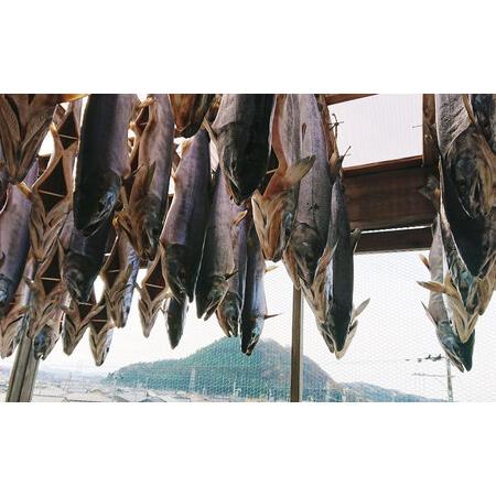 ふるさと納税 「伝統の鮭料理」鮭の氷頭せんべい 3箱セット 1074005 新潟県村上市｜furunavi｜04