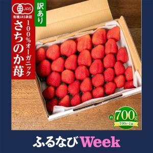 ふるさと納税 訳ありいちご とくしまオーガニックいちご(約700g)ご家庭用 徳島県徳島市