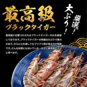 ふるさと納税 えび 高級ブラックタイガー 1kg [001-a008_fn] エビ 海老 福井県敦賀市 |  | 01