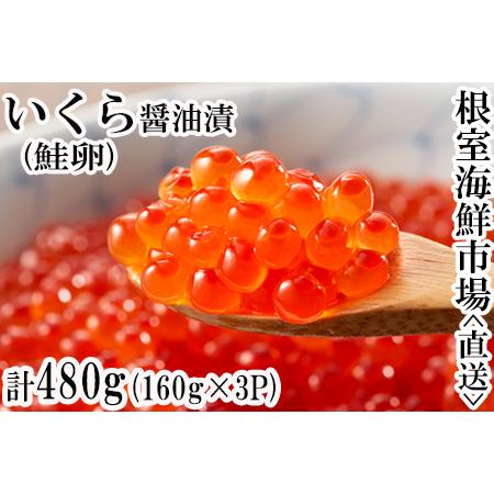 全品送料無料 ふるさと納税 いくら醤油漬 鮭卵 250g 3p 計750g B 北海道根室市 お1人様1点限り Kuljic Com