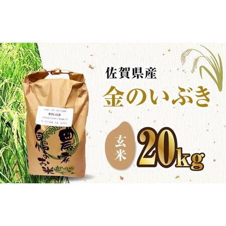 ふるさと納税 栽培期間中農薬不使用 令和5年産 金のいぶき 玄米