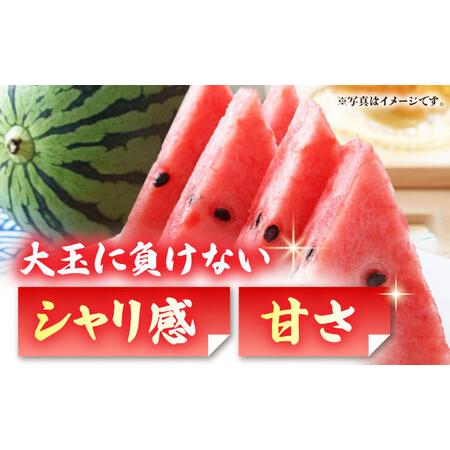 ふるさと納税 【先行予約】【数量限定】黒小玉 スイカ (ひとりじめ BonBon) 2玉 計約5kg【岡山農園】こだまスイカ すいか 西瓜 黒小玉すいか 熊.. 熊本県山鹿市｜furunavi｜02